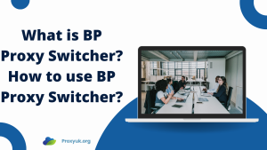 What is BP Proxy Switcher? How to use BP Proxy Switcher